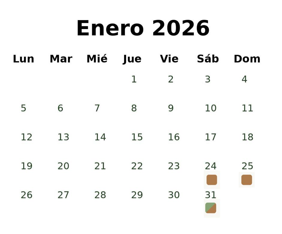 Enero 2026